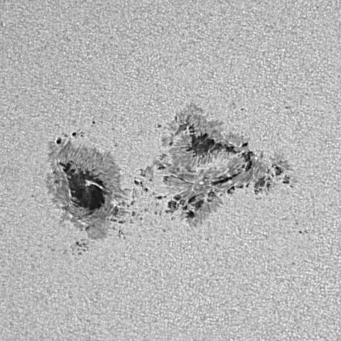 太陽黒点(活動領域14274) 2025/11/08