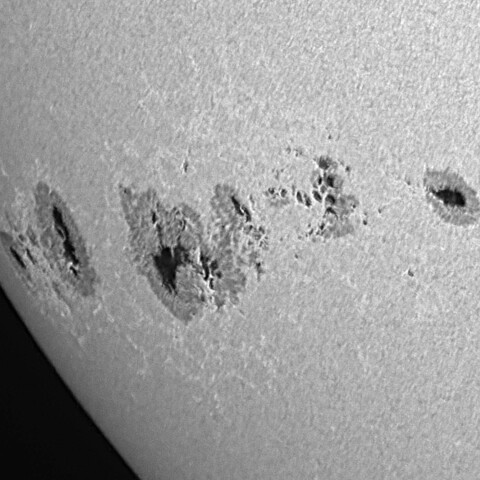 太陽黒点(活動領域14294&14296) 2025/12/01