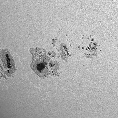 太陽黒点(活動領域14294&14296&14298) 2025/12/02