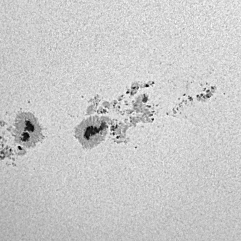 太陽黒点(活動領域14294&14296&14298) 2025/12/04