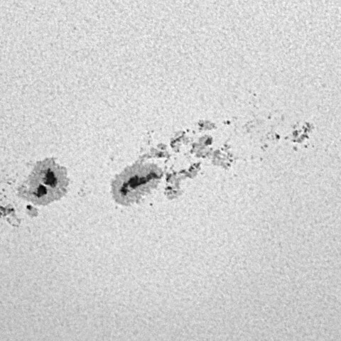 太陽黒点(活動領域14294&14296&14298) 2025/12/05