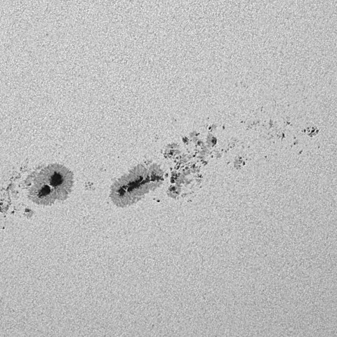 太陽黒点(活動領域14294&14296&14298) 2025/12/06