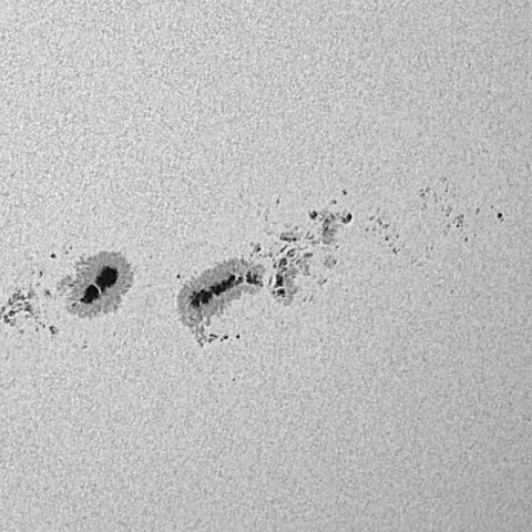 太陽黒点(活動領域14294&14296&14298) 2025/12/07