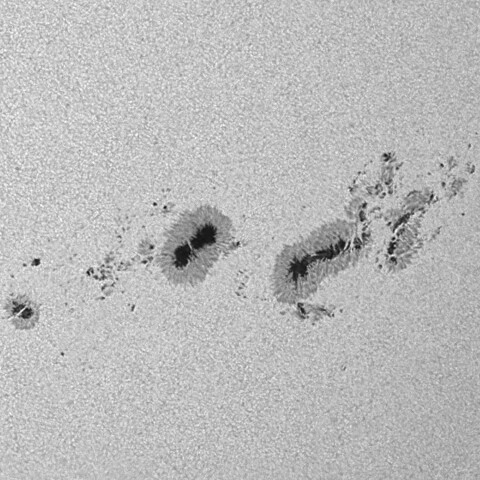 太陽黒点(活動領域14294&14296) 2025/12/08