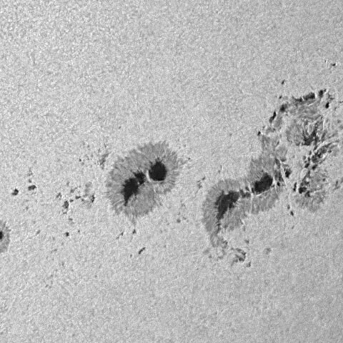 太陽黒点(活動領域14294&14296) 2025/12/09