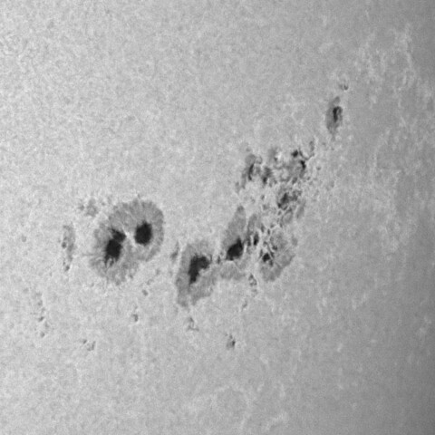 太陽黒点(活動領域14294&14296&14298) 2025/12/10