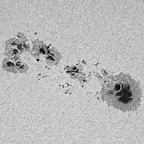 太陽黒点(活動領域14366) 2026/02/04