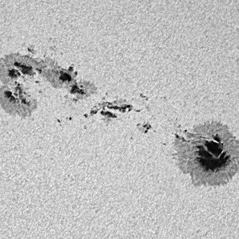 太陽黒点(活動領域14366) 2026/02/05