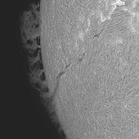 太陽プロミネンス 2026/02/21