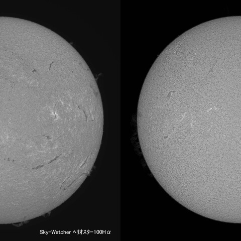 太陽(Hα) 2026/02/22