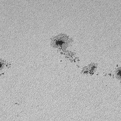 太陽黒点(活動領域14401&14402) 2026/03/27
