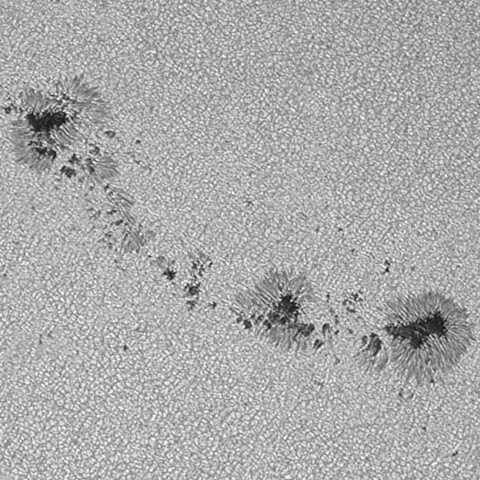 太陽黒点(活動領域14401) 2026/03/28