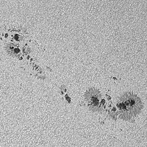 太陽黒点(活動領域14401) 2026/03/29