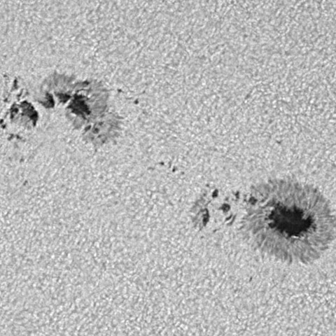 太陽黒点(活動領域14419) 2026/04/19