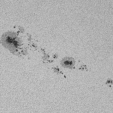 太陽黒点(活動領域14420) 2026/04/26