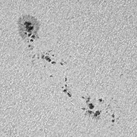 太陽黒点(活動領域14424) 2026/04/28