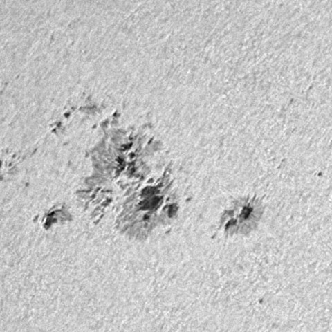 太陽黒点(活動領域14425) 2026/04/28