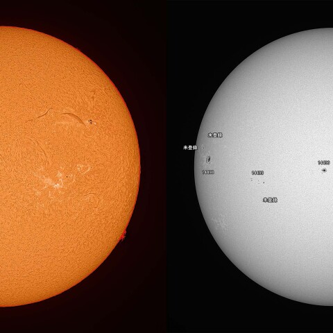 太陽 2026/07/29