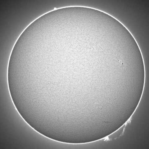 太陽黒点とプロミネンス 21/2/25