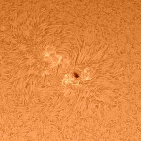 太陽黒点 2021/5/23