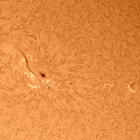 太陽黒点 2021/5/25