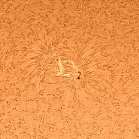 太陽黒点 2021/6/1