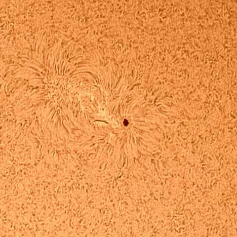 太陽黒点 2021/6/3