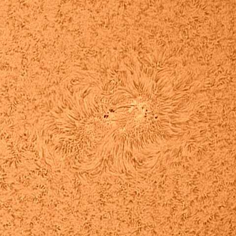 太陽黒点(中央) 2021/6/8