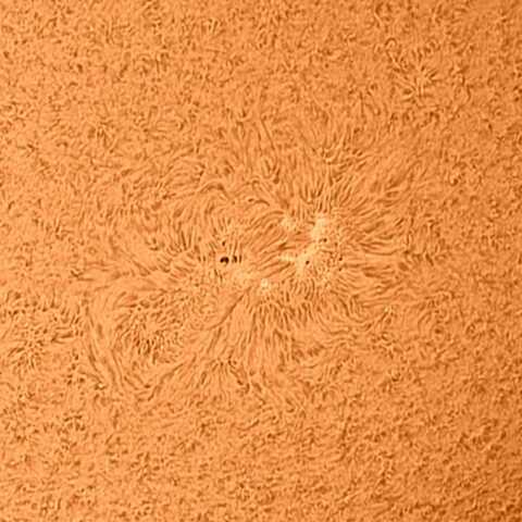 太陽黒点 2021/6/9