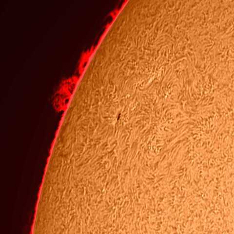 太陽黒点とプロミネンス 2021/7/12