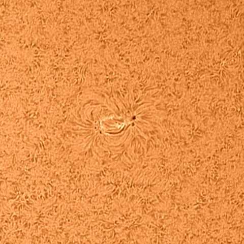 太陽黒点(南) 2021/7/18