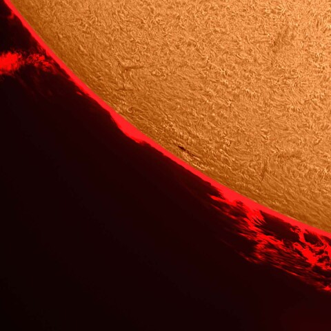 太陽プロミネンスと黒点 2021/9/19