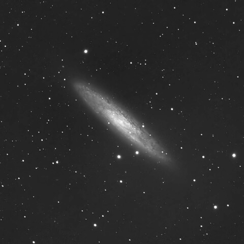 NGC253