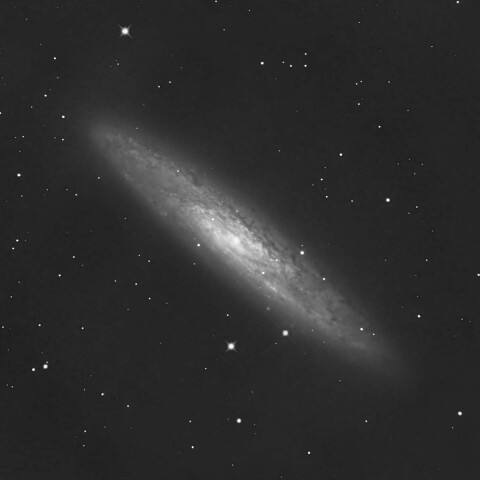 NGC253
