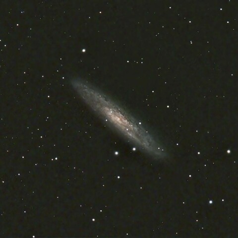 NGC253