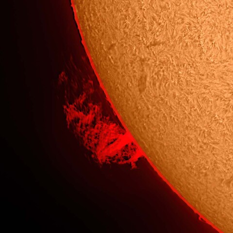 太陽プロミネンス 2022/02/05