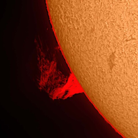 太陽プロミネンス 2022/02/06