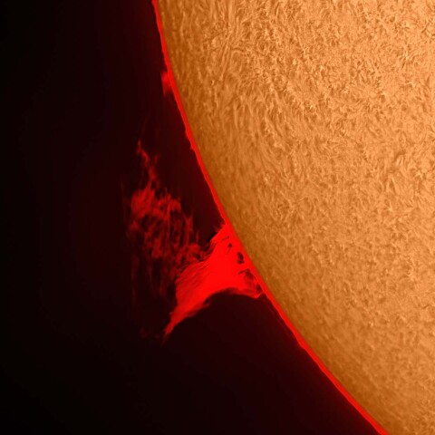 太陽プロミネンス 2022/02/07