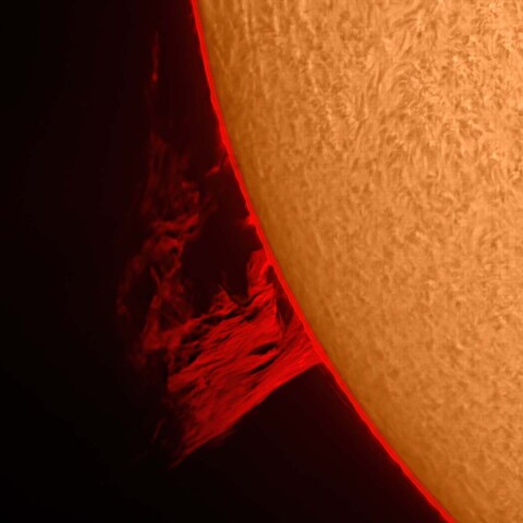 太陽プロミネンス 2022/02/08