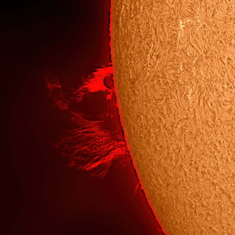 太陽プロミネンス 2022/04/08