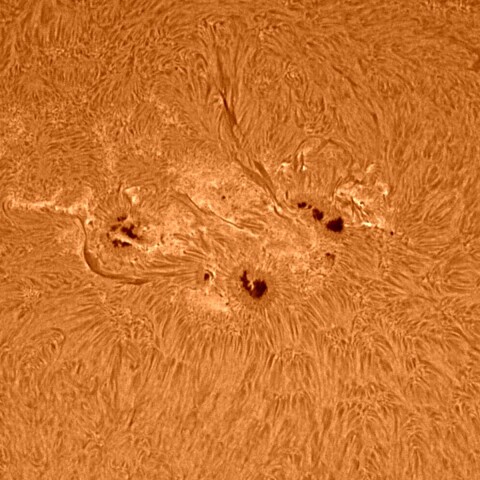 太陽黒点 2022/04/22