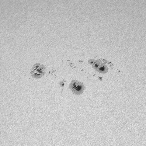 太陽黒点(白色光) 2022/04/22