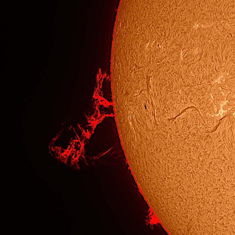 太陽プロミネンス 2022/04/28