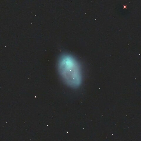 NGC1360