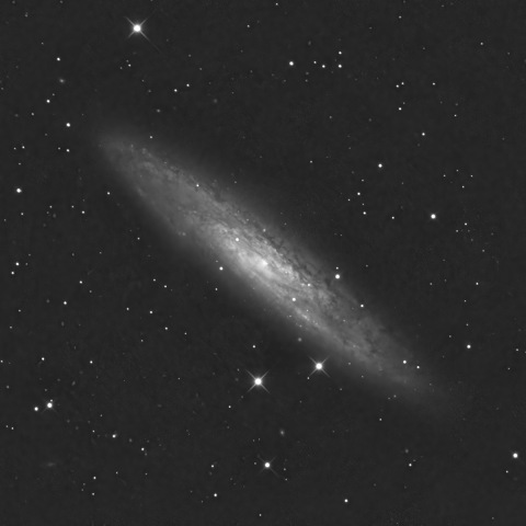NGC253