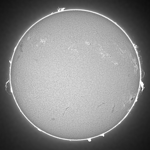 太陽プロミネンス 2023/01/25