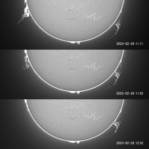 太陽プロミネンス 2023/02/28