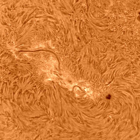 太陽活動領域#13242 2023/03/08