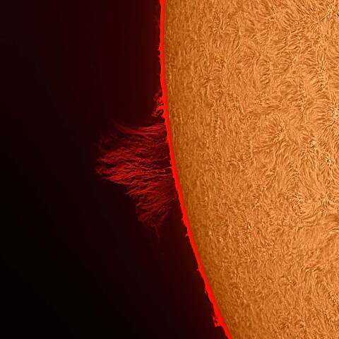 太陽プロミネンス 2023/03/12