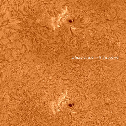 太陽活動領域#13245 2023/03/09